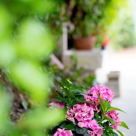 Апартаменты Nives In The Center - Free Parking Сплит