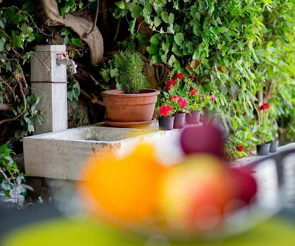 Nives In The Center - Free Parking Lägenhet *