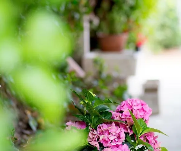 Lägenhet Nives In The Center - Free Parking Split