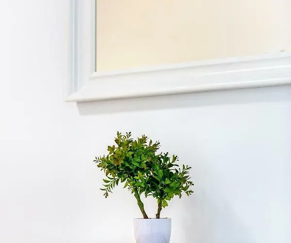 Lägenhet Nives In The Center - Free Parking