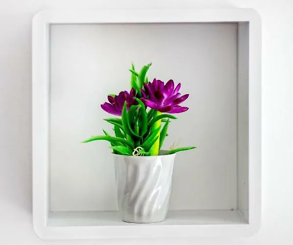 Nives In The Center - Free Parking *