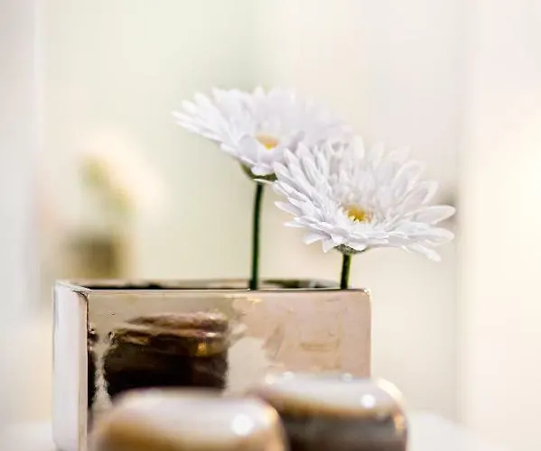 Nives In The Center - Free Parking