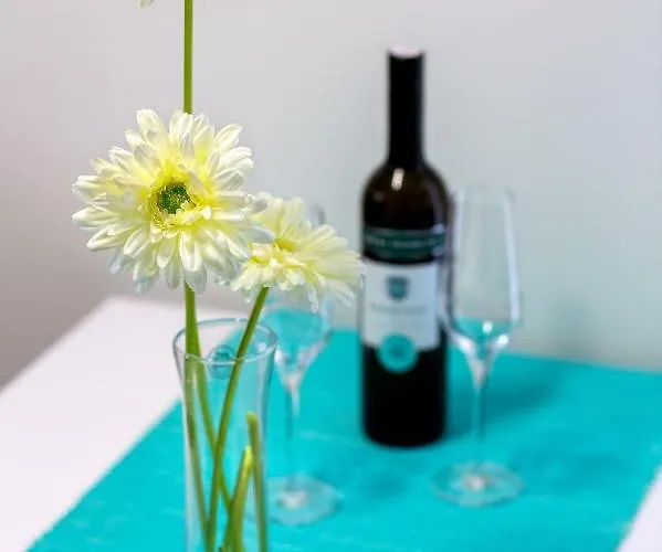 Nives In The Center - Free Parking Split