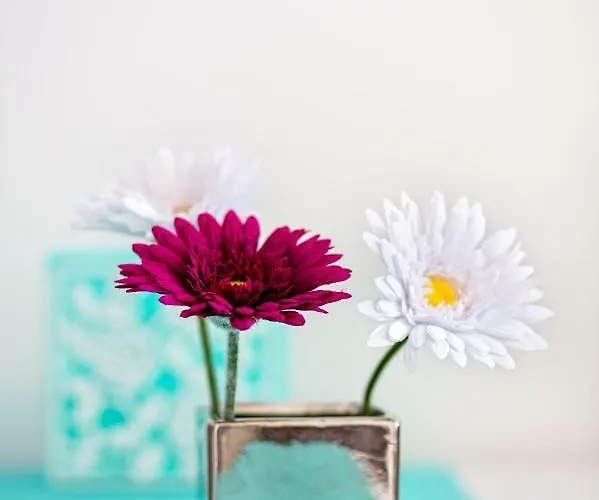 Lägenhet Nives In The Center - Free Parking