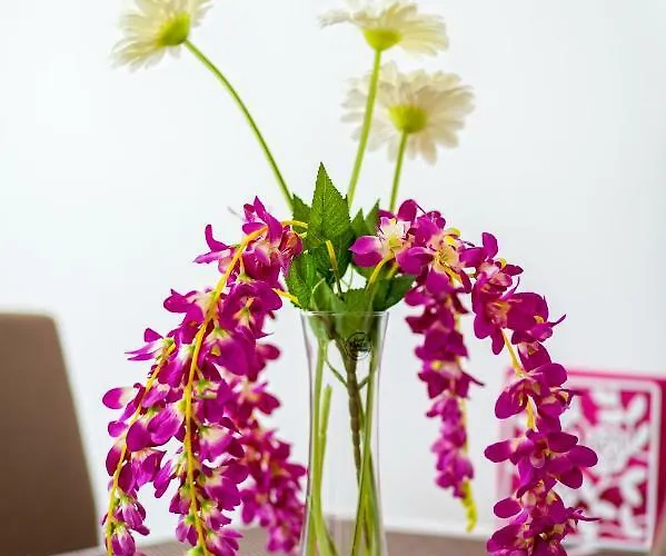 Nives In The Center - Free Parking * Split