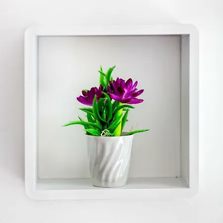 Nives In The Center - Free Parking *