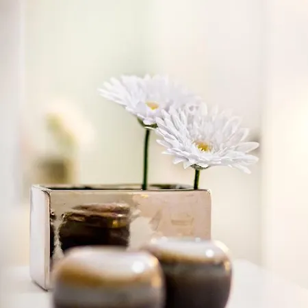 Nives In The Center - Free Parking