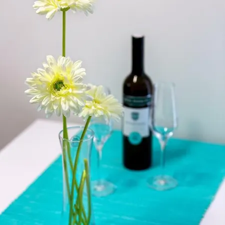 Nives In The Center - Free Parking Split