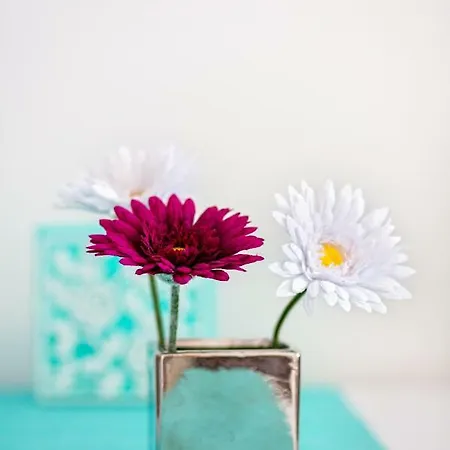 Appartement Nives In The Center - Free Parking