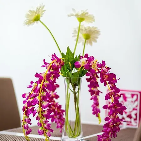 Nives In The Center - Free Parking * スプリト